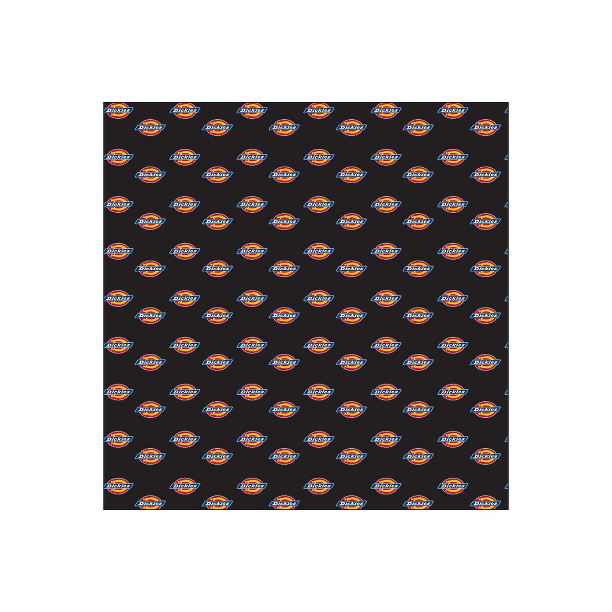 product/d/i/dickies_dk0a4xgfblk1_noir_1.jpg