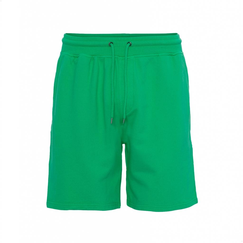 product/c/s/cs1010-kellygreen.jpg