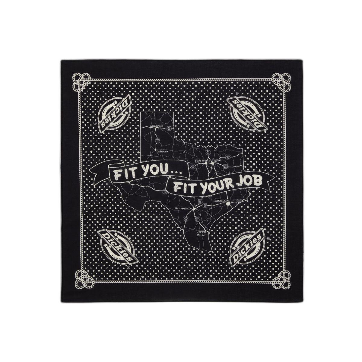 product/d/i/dickies_dk0a87pablk1_black_1.jpg