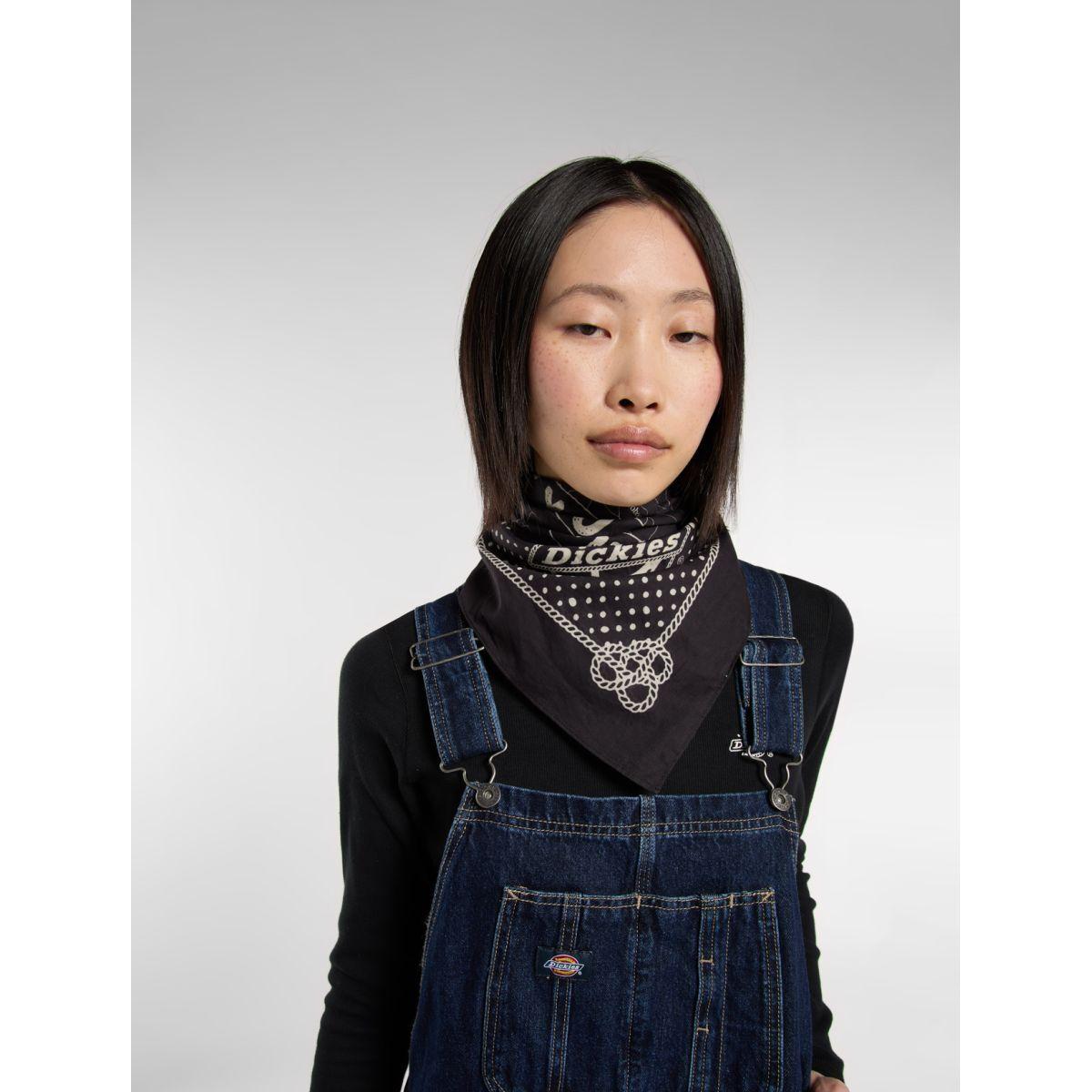 product/d/i/dickies_dk0a87pablk1_black_5.jpg