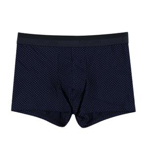 45347-boxer-hom-max-morski