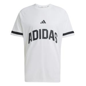 jd8099-koszulka-adidas-seasonal-essentials-us-sport-bialy
