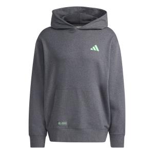 jx8778-bluza-z-kapturem-mercedes-amg-petronas-formula-one-team-dgreyh