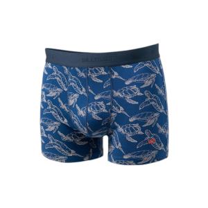 bo67-bokserki-billybelt-turtle-twist-niebieski
