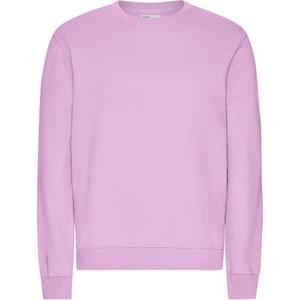 cs1005-cherryblossom-pulower-colorful-standard-classic-organic-cherry-blossom-kwiat-wisni