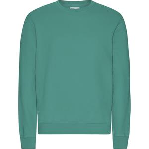 cs1005-pinegreen-pulower-colorful-standard-classic-organic-pine-green-sosna-zielen