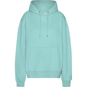 cs1006-tealblue-bluza-z-kapturem-colorful-standard-classic-organic-teal-blue-teal-niebieski