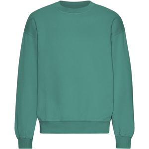 cs1012-pinegreen-oversizowa-bluza-z-okraglym-dekoltem-colorful-standard-organic-pine-green-sosna-zielen