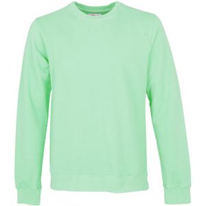 cs1005-fadedmint-bluza-z-okraglym-dekoltem-colorful-standard-classic-organic-faded-mint-wyblakla-mieta