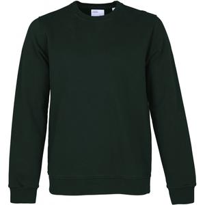 cs1005-huntergreen-bluza-z-okraglym-dekoltem-colorful-standard-classic-organic-hunter-green-zielen-lowicka