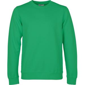 cs1005-kellygreen-bluza-z-okraglym-dekoltem-colorful-standard-classic-organic-kelly-green-kelly-green