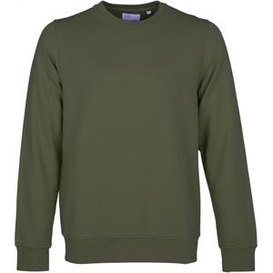 cs1005-seaweedgreen-bluza-z-okraglym-dekoltem-colorful-standard-classic-organic-seaweed-green-wodorosty-zielone