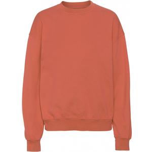 cs1012-darkamber-bluza-z-okraglym-dekoltem-colorful-standard-organic-oversized-dark-amber-ciemny-bursztyn