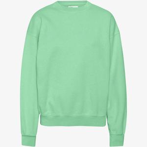 cs1012-fadedmint-bluza-z-okraglym-dekoltem-colorful-standard-organic-oversized-faded-mint-wyblakla-mieta