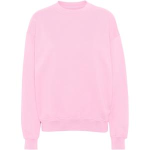 cs1012-flamingopink-bluza-z-okraglym-dekoltem-colorful-standard-organic-oversized-flamingo-pink-flamingi-rozowe