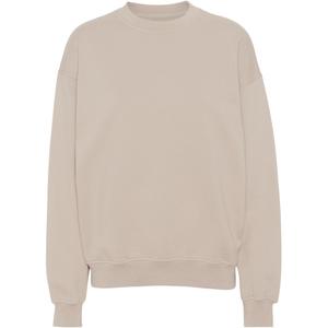 cs1012-ivorywhite-bluza-z-okraglym-dekoltem-colorful-standard-organic-oversized-ivory-white-kosc-sloniowa-biel