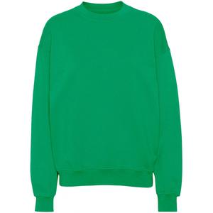 cs1012-kellygreen-bluza-z-okraglym-dekoltem-colorful-standard-organic-oversized-kelly-green-kelly-green