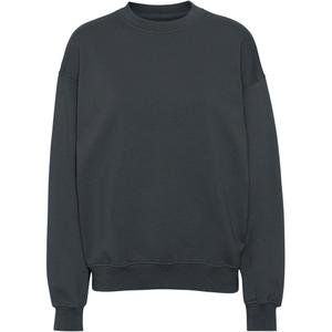 cs1012-lavagrey-bluza-z-okraglym-dekoltem-colorful-standard-organic-oversized-lava-grey-lawa-szara