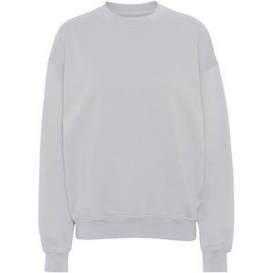 cs1012-limestonegrey-bluza-z-okraglym-dekoltem-colorful-standard-organic-oversized-limestone-grey-wapien-szary