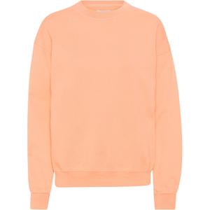 cs1012-paradisepeach-bluza-z-okraglym-dekoltem-colorful-standard-organic-oversized-paradise-peach-rajska-brzoskwinia