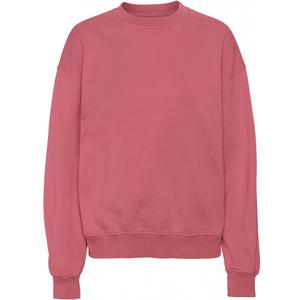 cs1012-raspberrypink-bluza-z-okraglym-dekoltem-colorful-standard-organic-oversized-raspberry-pink-malinowy-roz