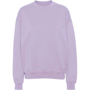 cs1012-softlavender-bluza-z-okraglym-dekoltem-colorful-standard-organic-oversized-soft-lavender-delikatna-lawenda