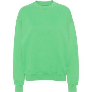 cs1012-springgreen-bluza-z-okraglym-dekoltem-colorful-standard-organic-oversized-spring-green-wiosenna-zielen