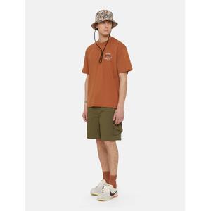 product/d/i/dickies_dk0a4yacmgr1_military-gr_3.jpg