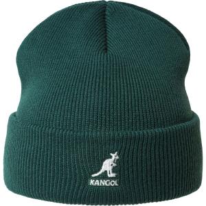 2978bc-pn317-akrylowa-czapka-kangol-pull-on-sosna-tu