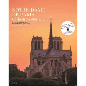kb855booknotredamed-book-notre-dame-of-paris-kubbick-szary-zielony-28-63x2-74x34-65-cm