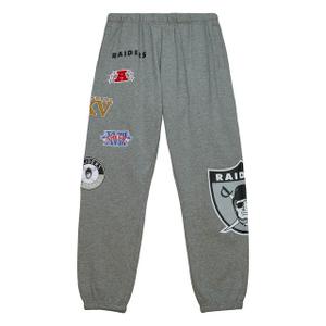 pswp4988-orayypppgyht-spodnie-dresowe-oakland-raiders-nfl-m-n-city-collection-szary