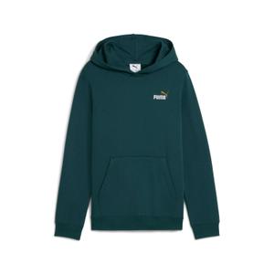 685825-75-bluza-z-kapturem-dla-dzieci-puma-essentials-2-green-terrain